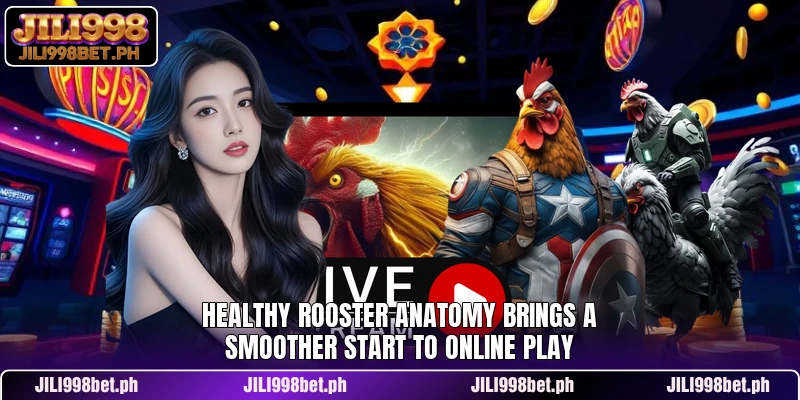 Healthy Rooster Anatomy Reviews Form Strength And Care